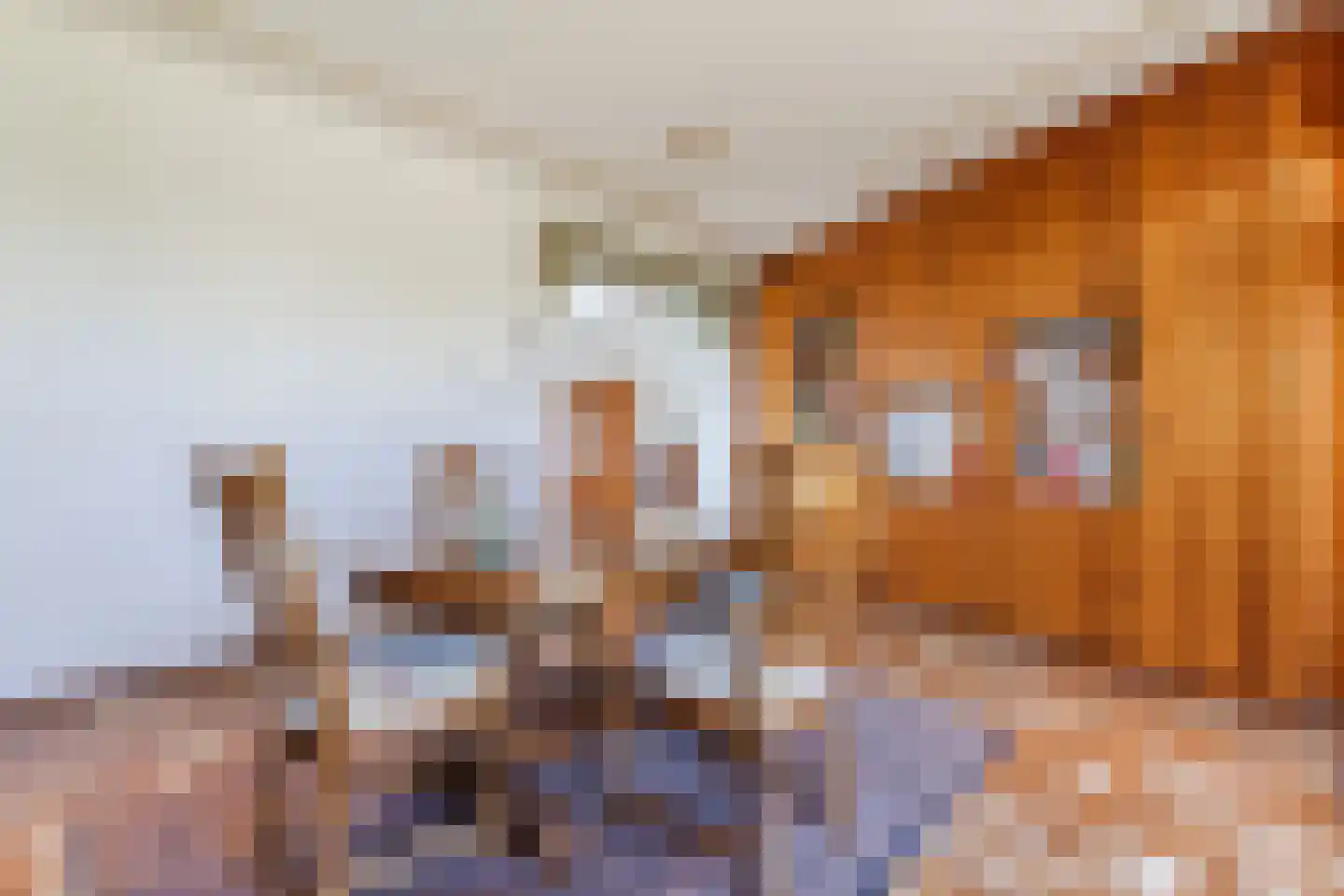 Mortel 35 Roggel thumbnail 11