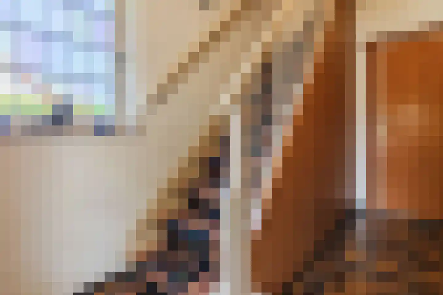 Mortel 35 Roggel thumbnail 23