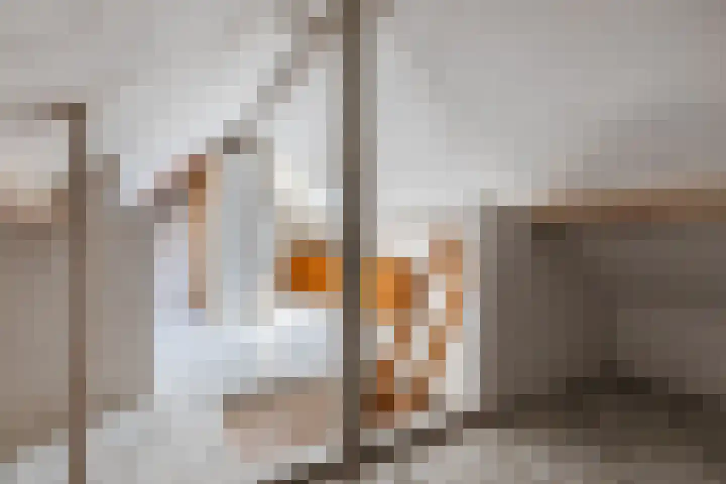 Mortel 35 Roggel thumbnail 34
