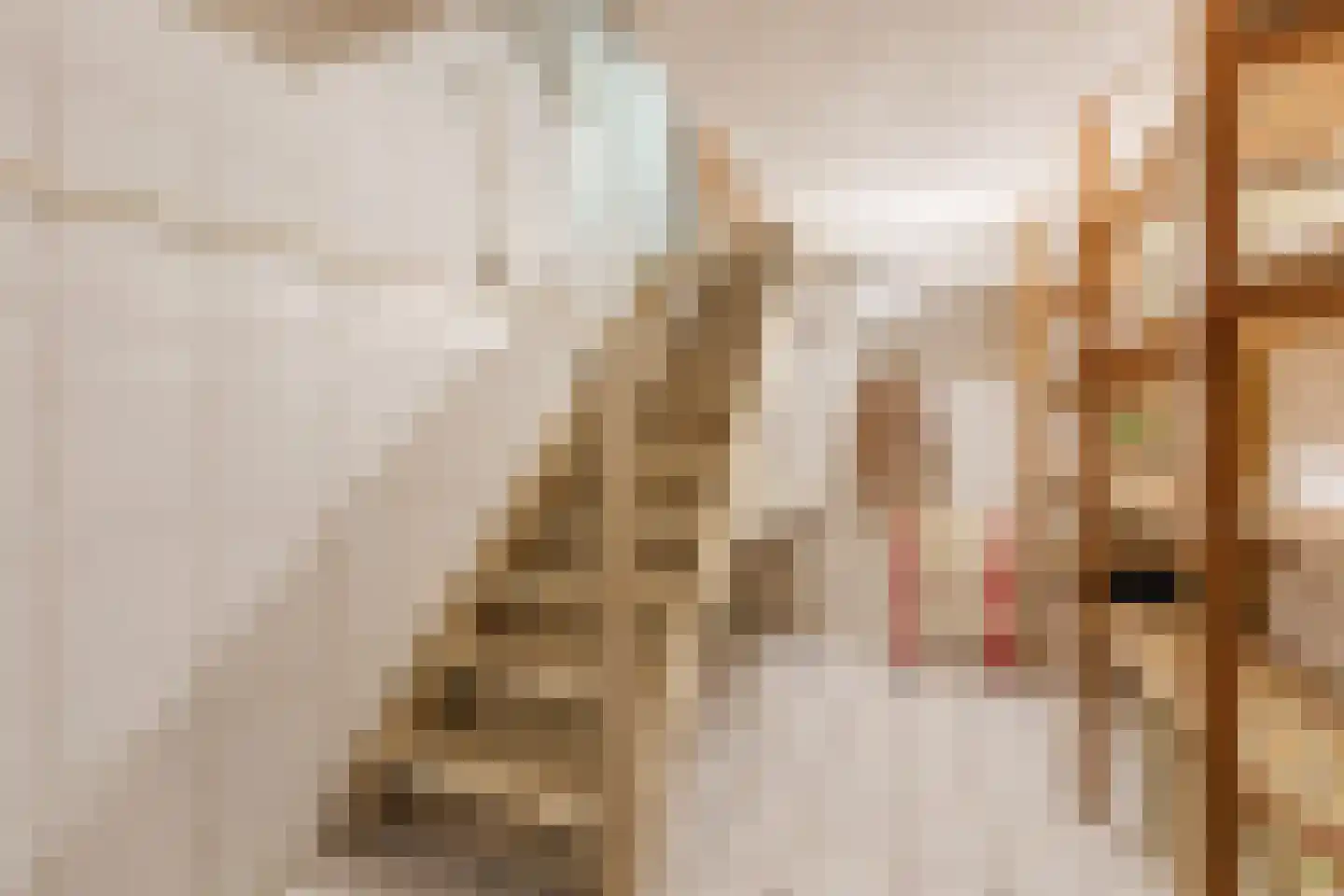 Mortel 35 Roggel thumbnail 35