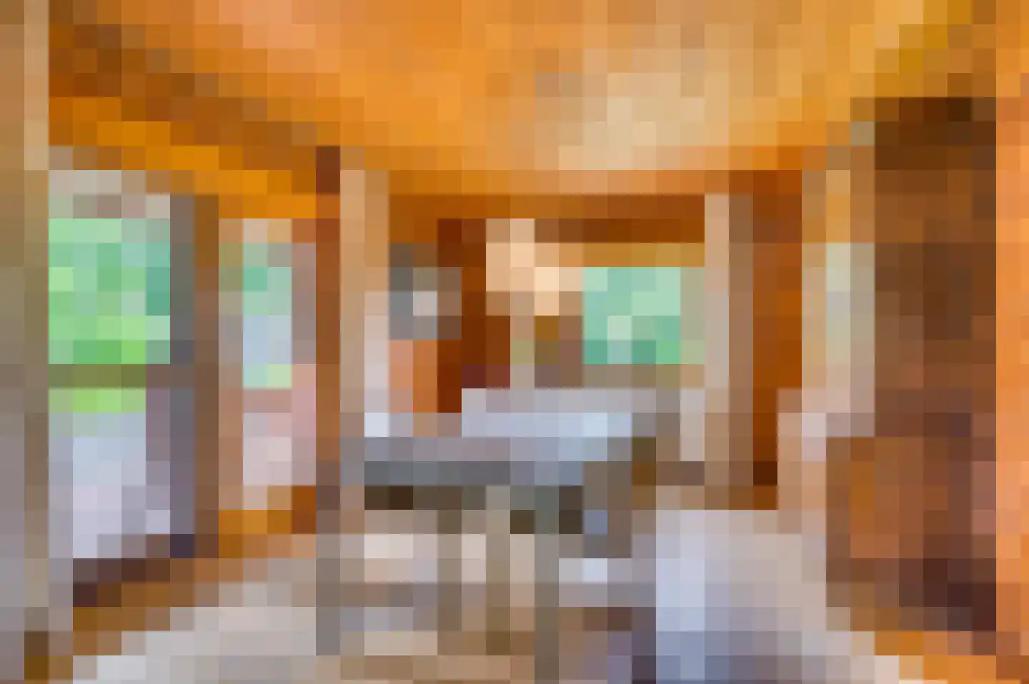 Mortel 44 Roggel thumbnail 13