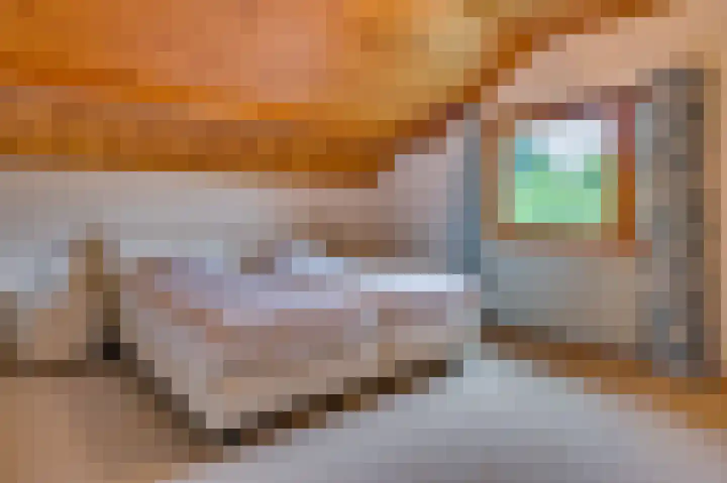 Mortel 44 Roggel thumbnail 23
