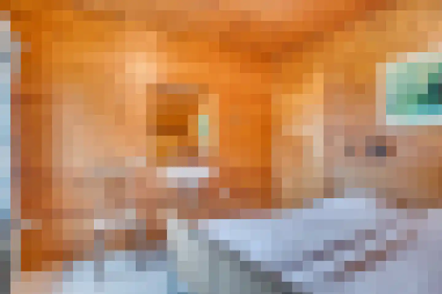 Mortel 44 Roggel thumbnail 29