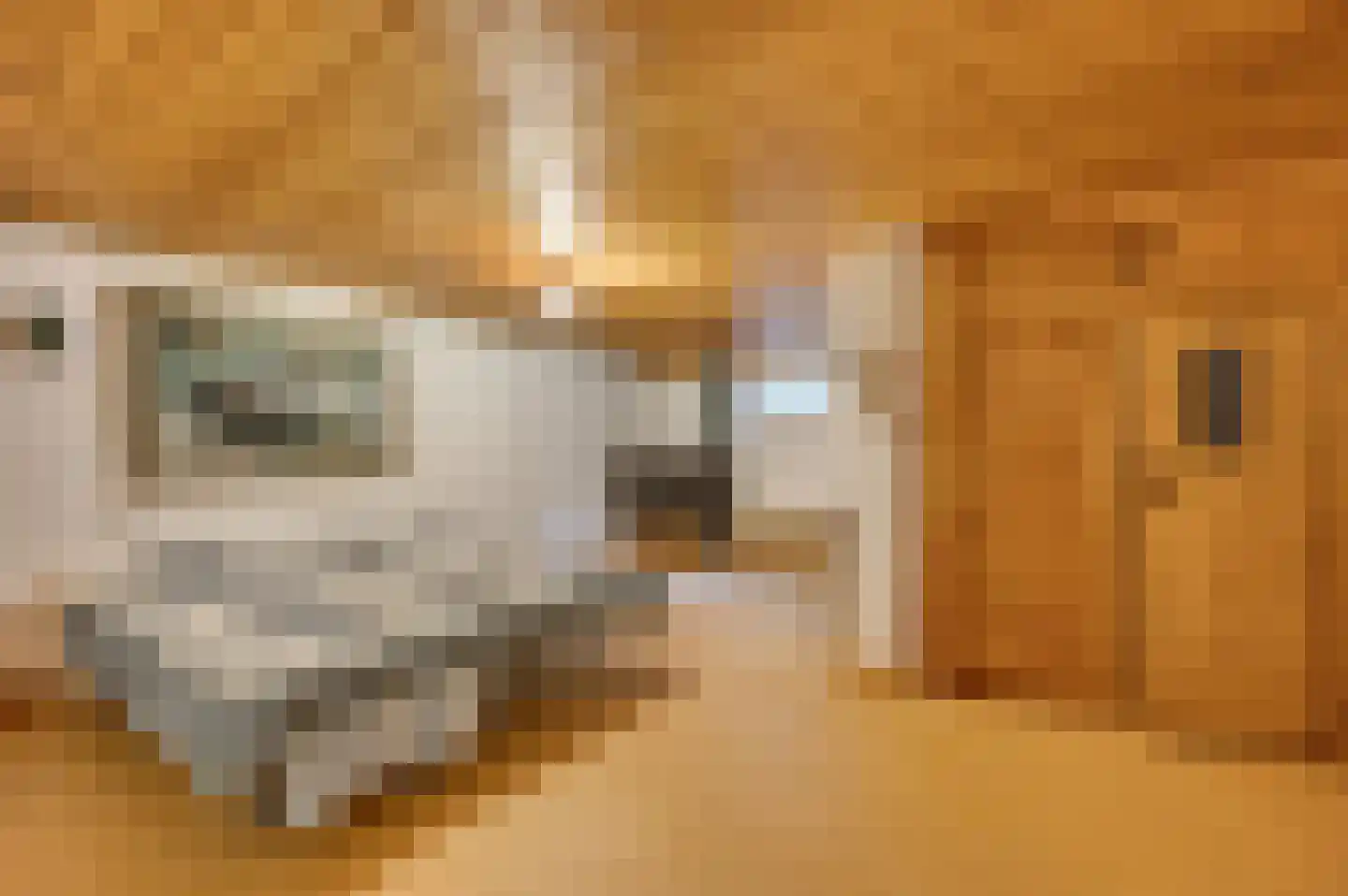 Mortel 44 Roggel thumbnail 37