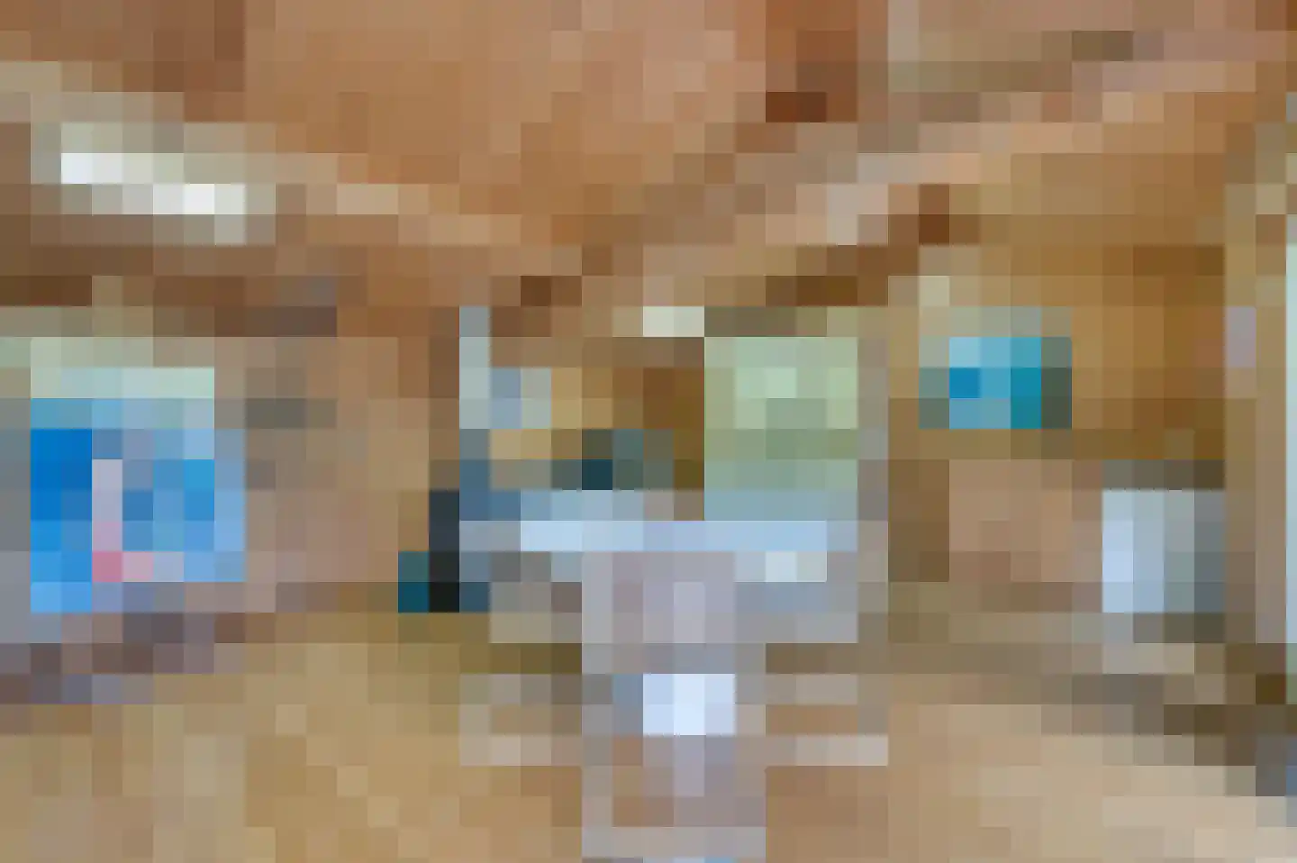 Mortel 44 Roggel thumbnail 42