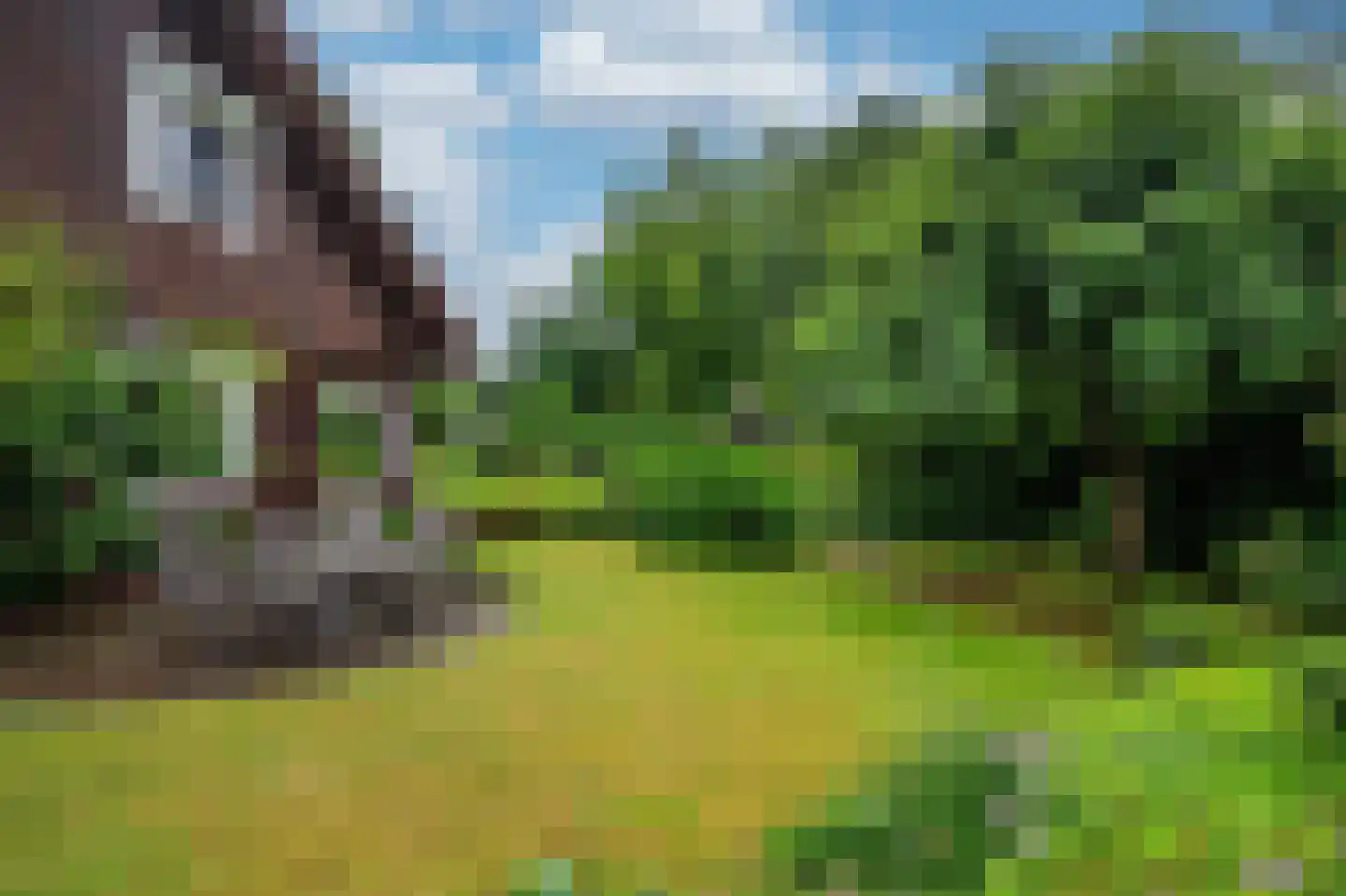 Mortel 44 Roggel thumbnail 47