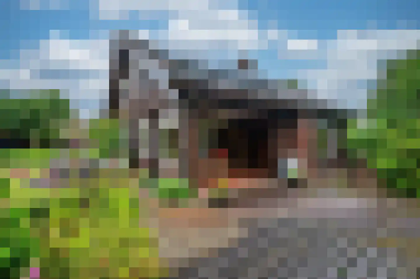 Mortel 44 Roggel thumbnail 48