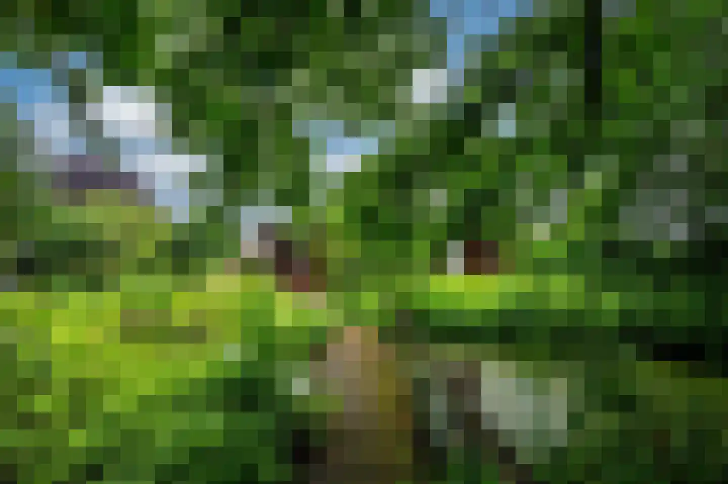 Mortel 44 Roggel thumbnail 51