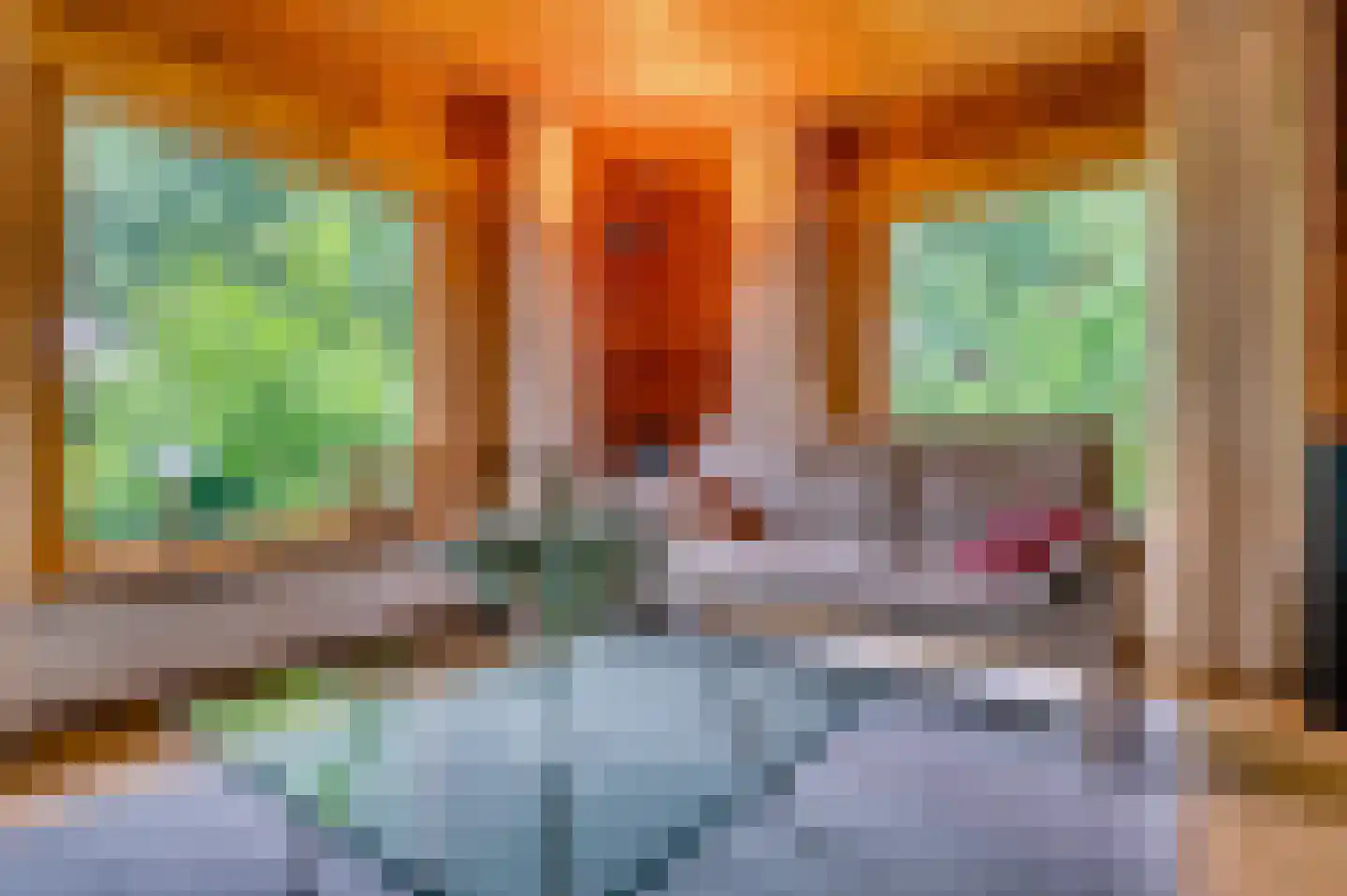 Mortel 44 Roggel thumbnail 6