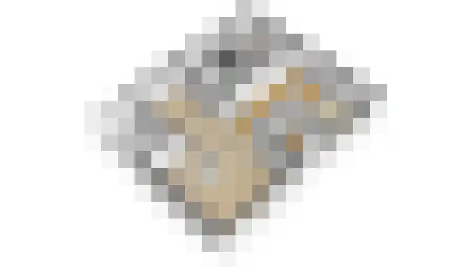 Mortel 44 Roggel thumbnail 60