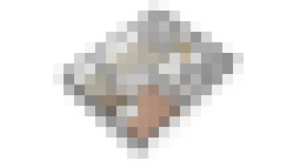 Mortel 44 Roggel thumbnail 64
