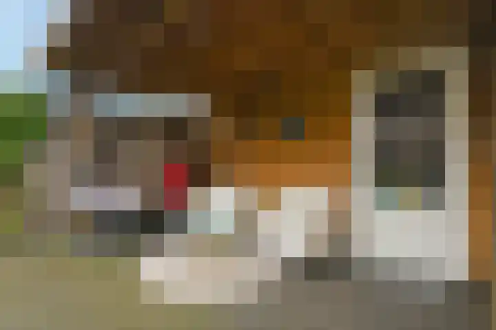 Mortel 8 b Mook thumbnail 26
