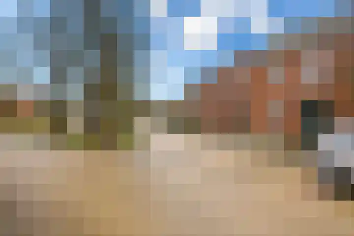Mortel 8 b Mook thumbnail 27