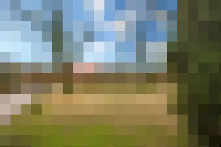 Mortel 8 b Mook thumbnail 29