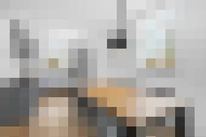 Mortel 8 b Mook thumbnail 8