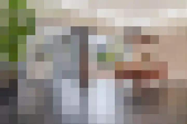 Mortel 87 Eersel thumbnail 15