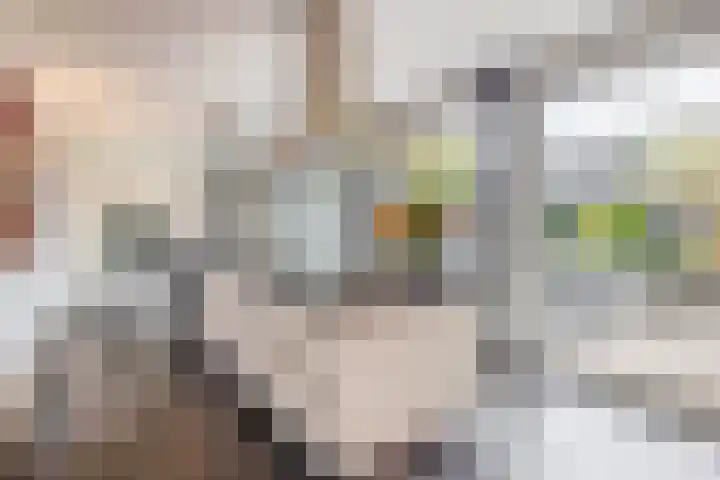Mortel 87 Eersel thumbnail 17