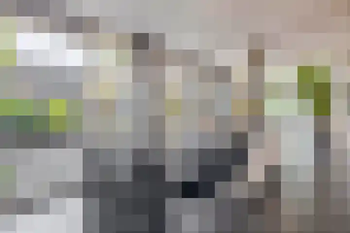 Mortel 87 Eersel thumbnail 18