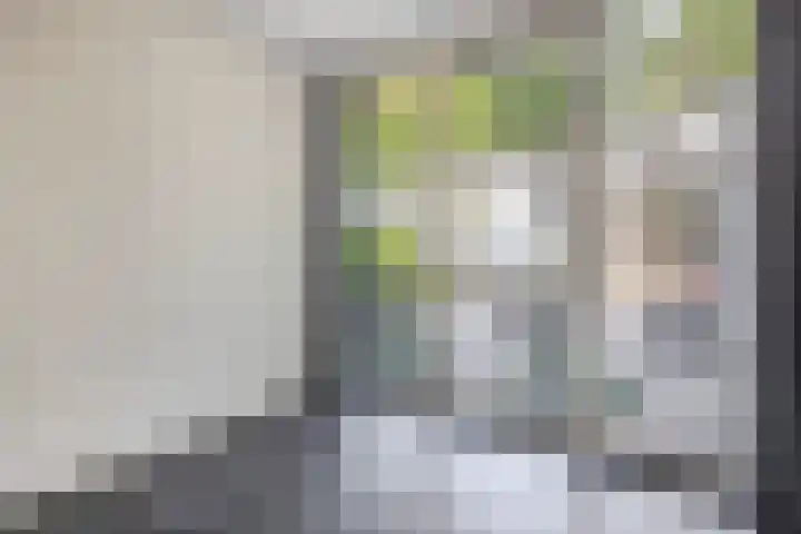 Mortel 87 Eersel thumbnail 23