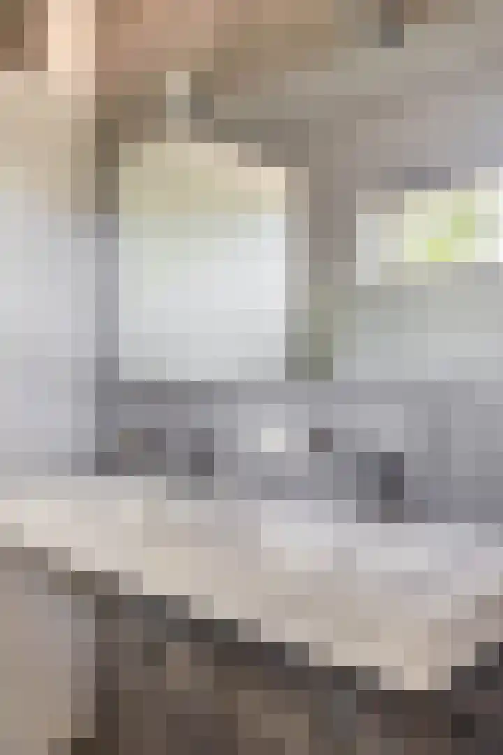 Mortel 87 Eersel thumbnail 26