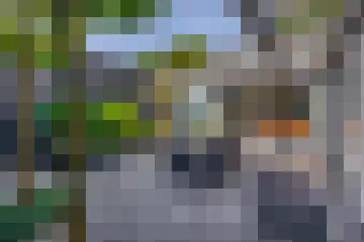 Mortel 87 Eersel thumbnail 30