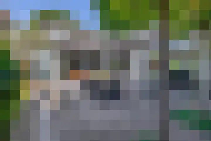 Mortel 87 Eersel thumbnail 4
