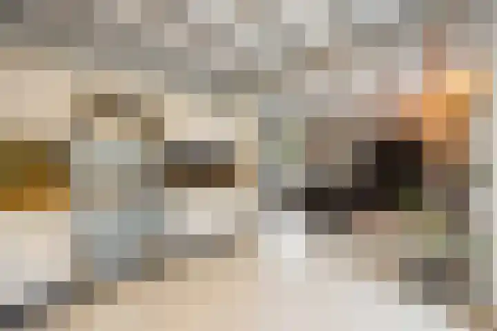 Mortel 9 Mook thumbnail 12