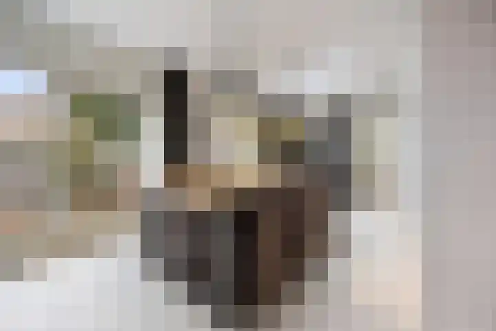 Mortel 9 Mook thumbnail 13