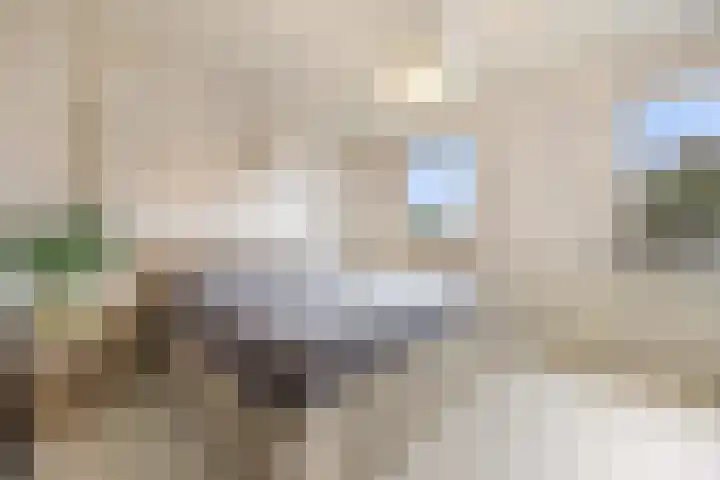 Mortel 9 Mook thumbnail 22