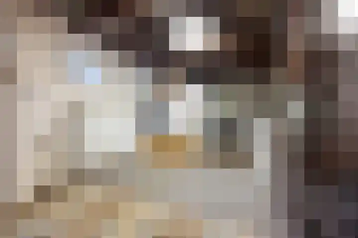 Mortel 9 Mook thumbnail 36
