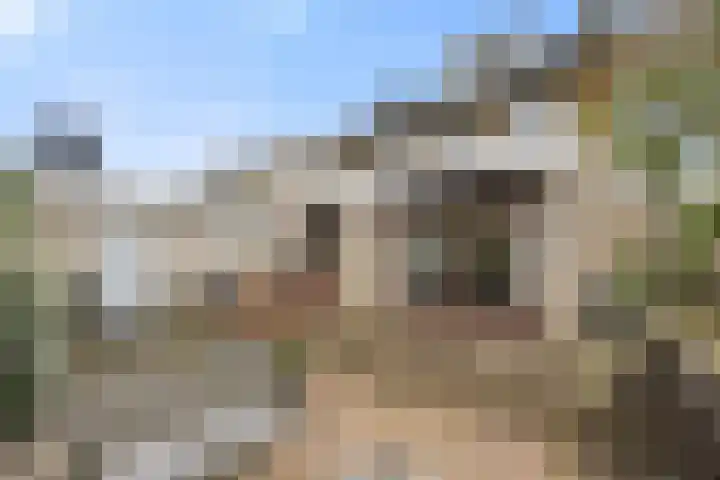 Mortel 9 Mook thumbnail 41