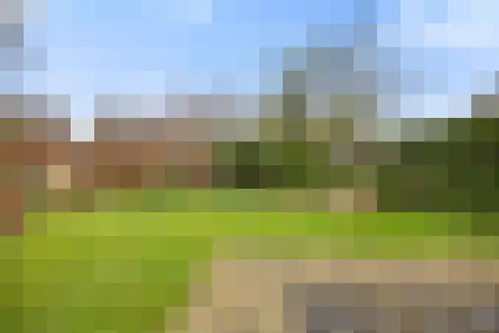 Mortel 9 Mook thumbnail 44