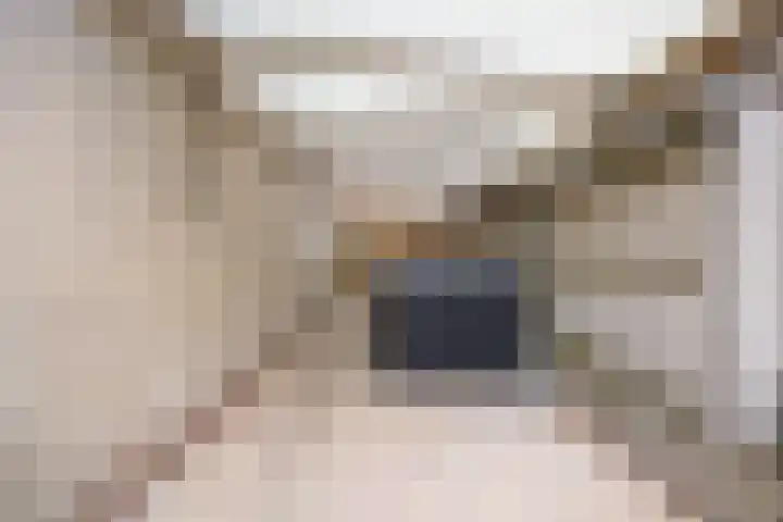 Mortel 9 Mook thumbnail 46