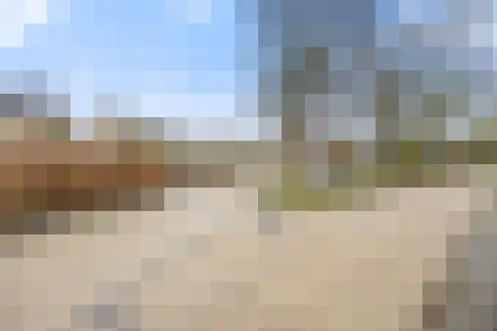 Mortel 9 Mook thumbnail 49