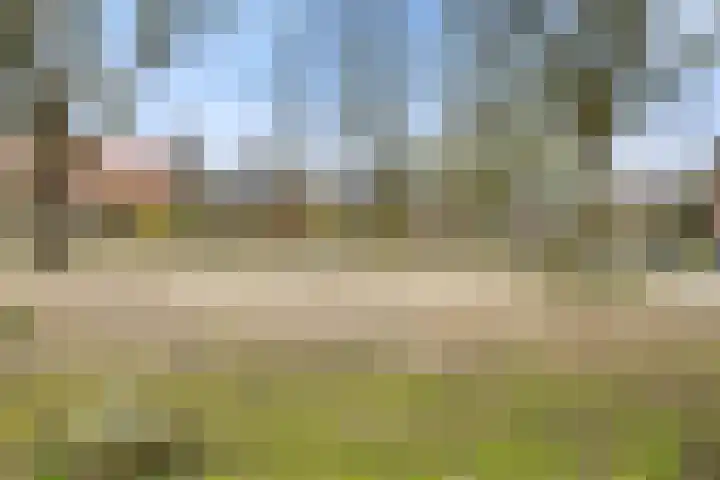 Mortel 9 Mook thumbnail 51