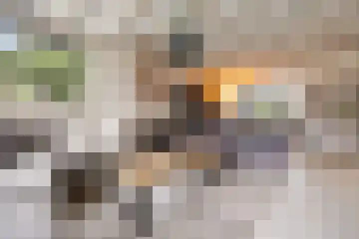 Mortel 9 Mook thumbnail 6