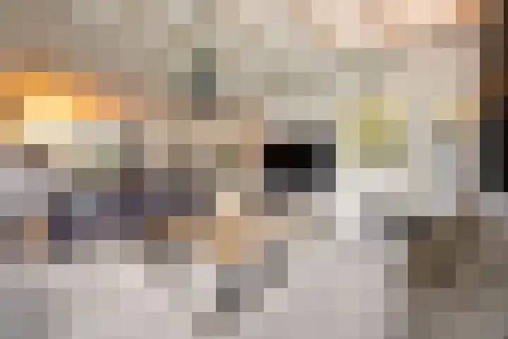 Mortel 9 Mook thumbnail 8