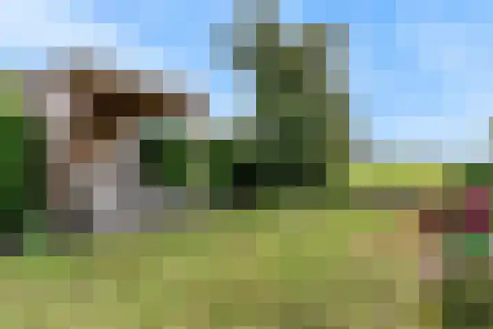 Mortelakker 25 Eindhoven thumbnail 18