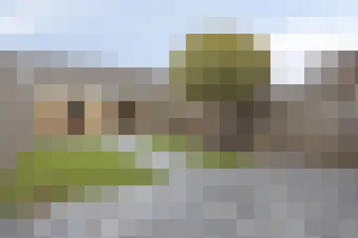 Mortelakker 25 Eindhoven thumbnail 23