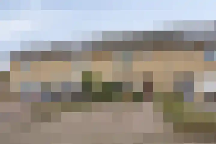 Mortelakker 25 Eindhoven thumbnail 25
