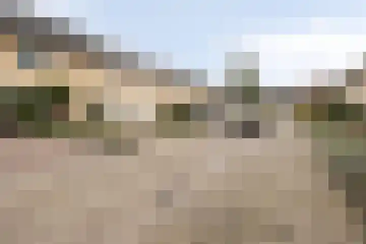 Mortelakker 25 Eindhoven thumbnail 27