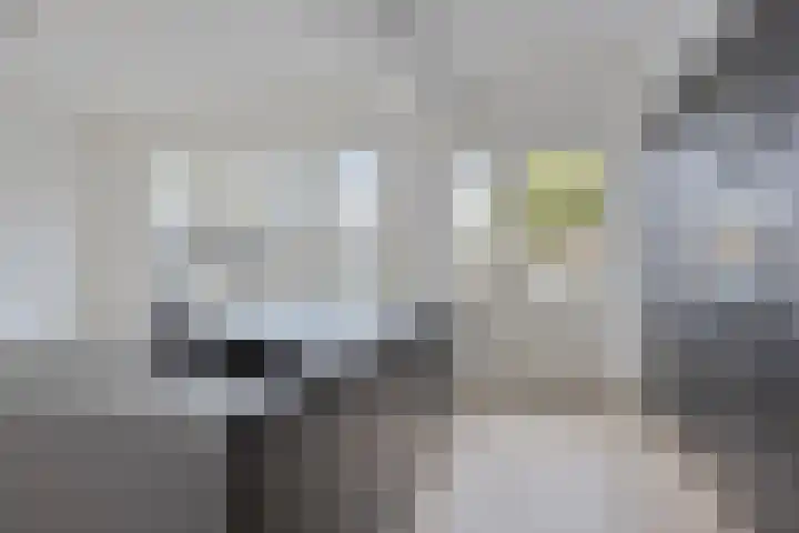 Mortelakker 25 Eindhoven thumbnail 6