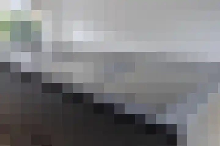 Mortelakker 25 Eindhoven thumbnail 8