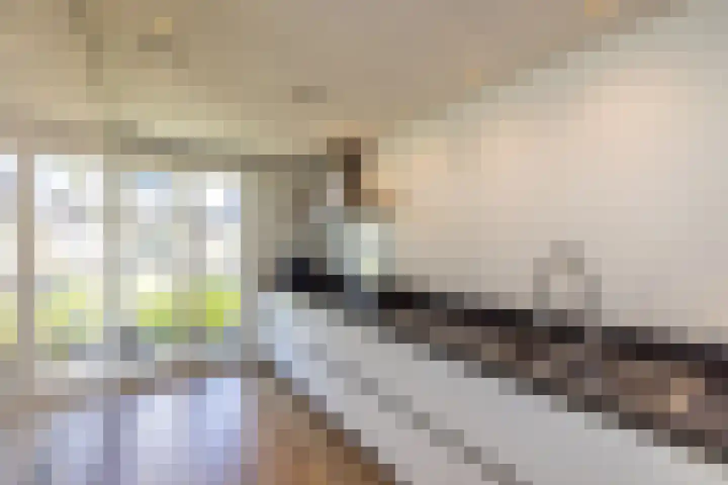 Mortelhof 1 Hillegom thumbnail 23