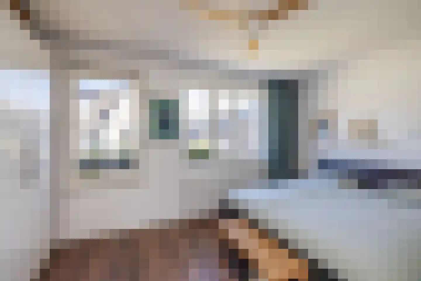 Mortelhof 1 Hillegom thumbnail 29