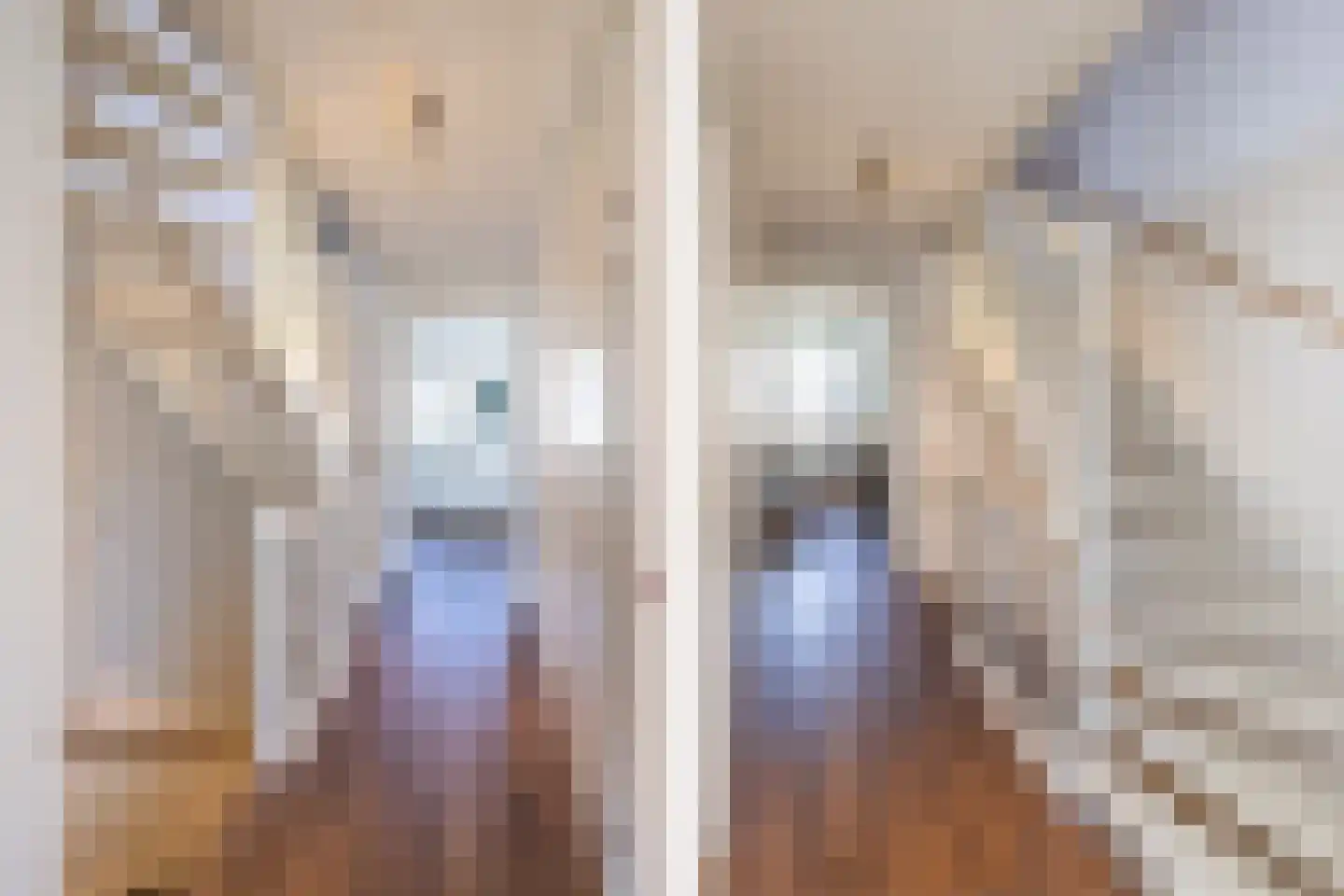 Mortelhof 1 Hillegom thumbnail 35