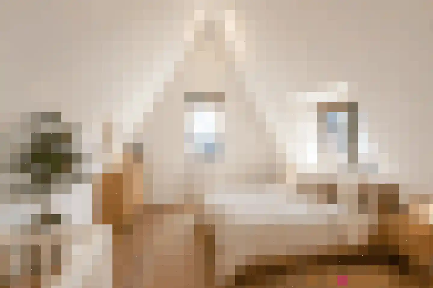 Mortelhof 1 Hillegom thumbnail 36