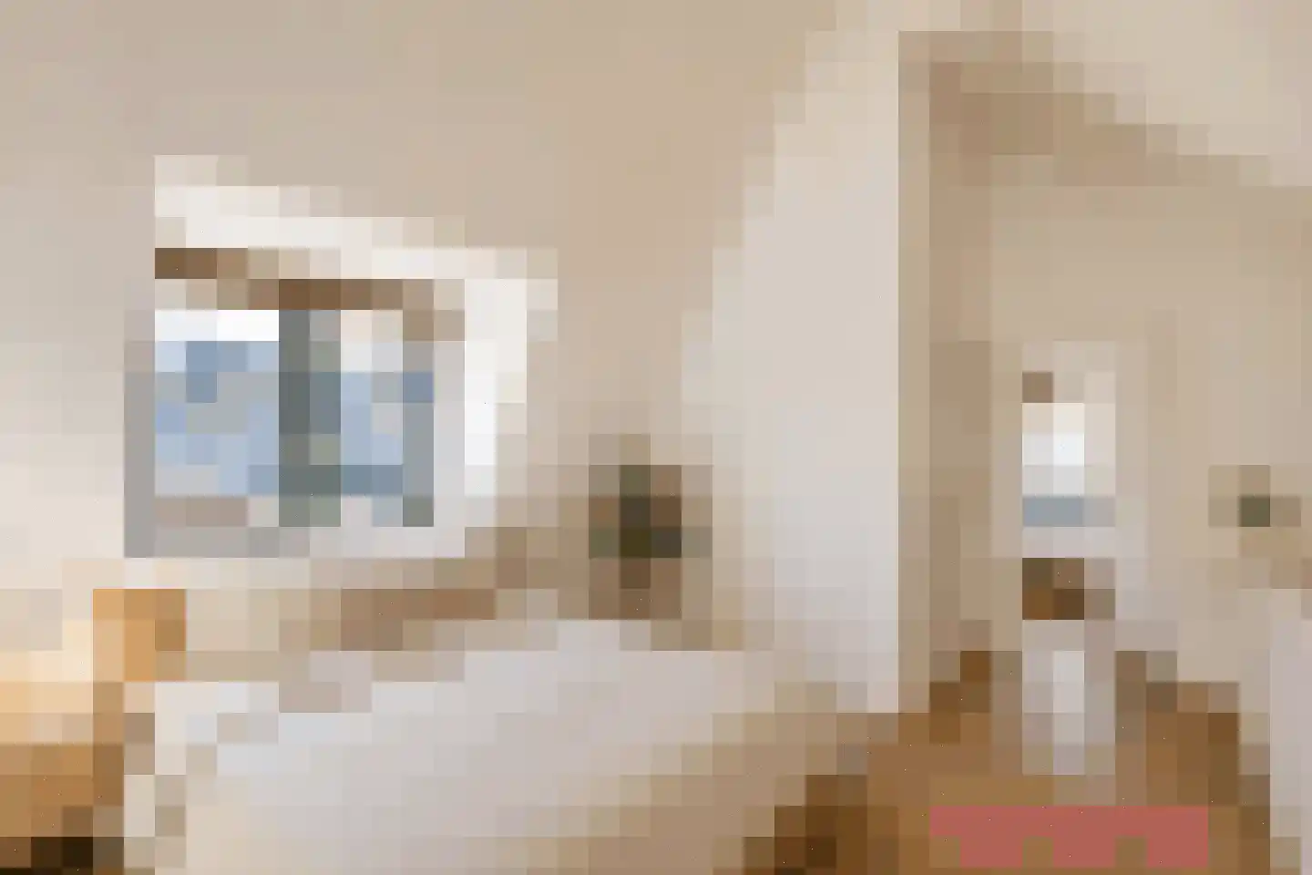 Mortelhof 1 Hillegom thumbnail 37