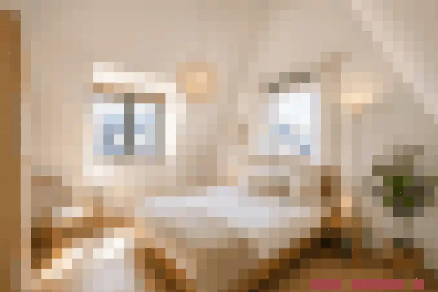 Mortelhof 1 Hillegom thumbnail 38