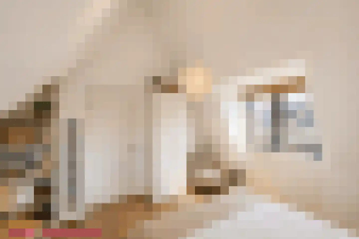 Mortelhof 1 Hillegom thumbnail 39